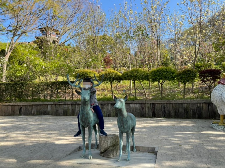 세종 가볼만한곳세종 가볼만한곳베어트리파크 20