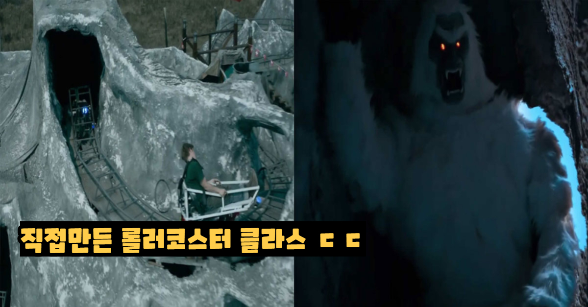  코로나 때문에 놀이공원 못 가자 집 마당에 '롤러코스터'설치한 사람