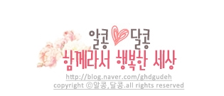 부엉이 간단한 한끼식사 진꼬마김밥 15