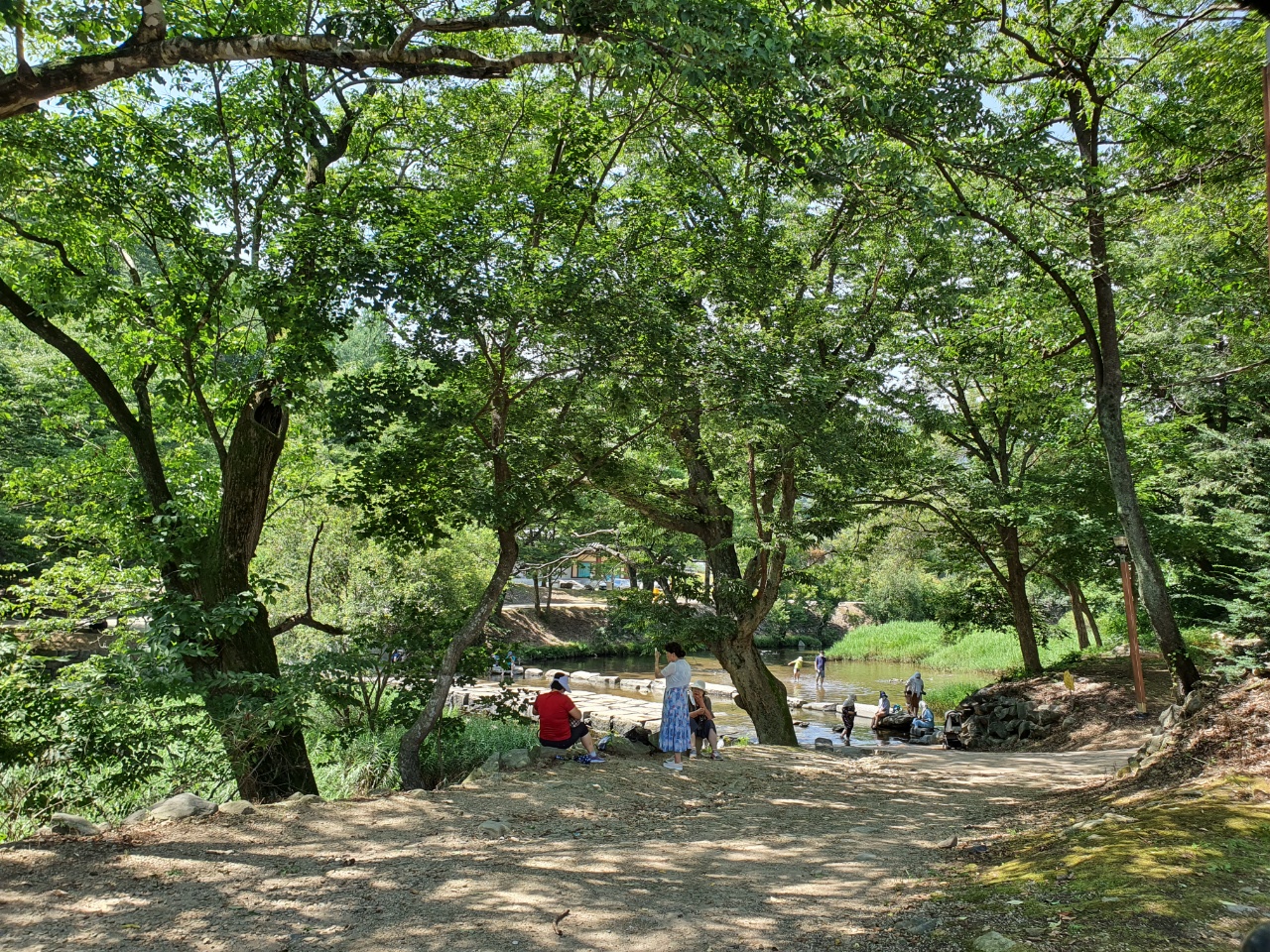  대전 세종시 근처 계곡 공주 마곡사 가서 물놀이 해보자!