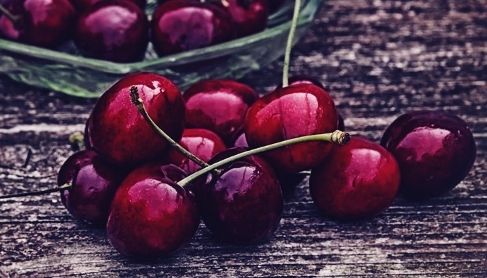 체리 세척 및 따기 Skylarae 체리 사진