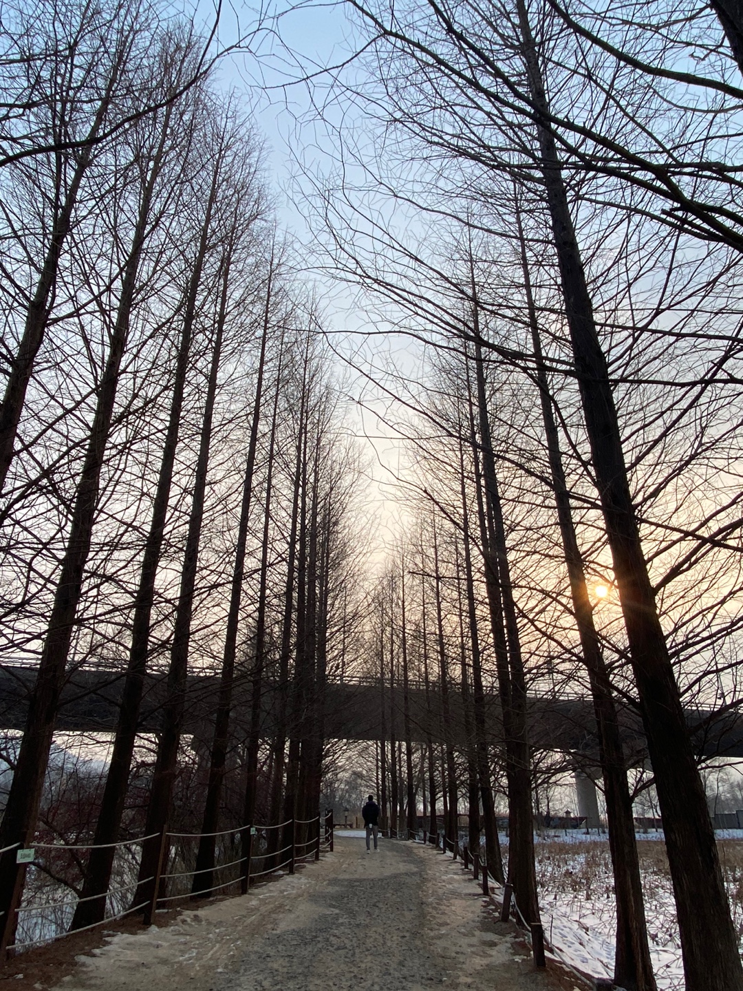 세미원 산책로