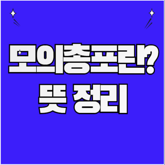 모의총포란?