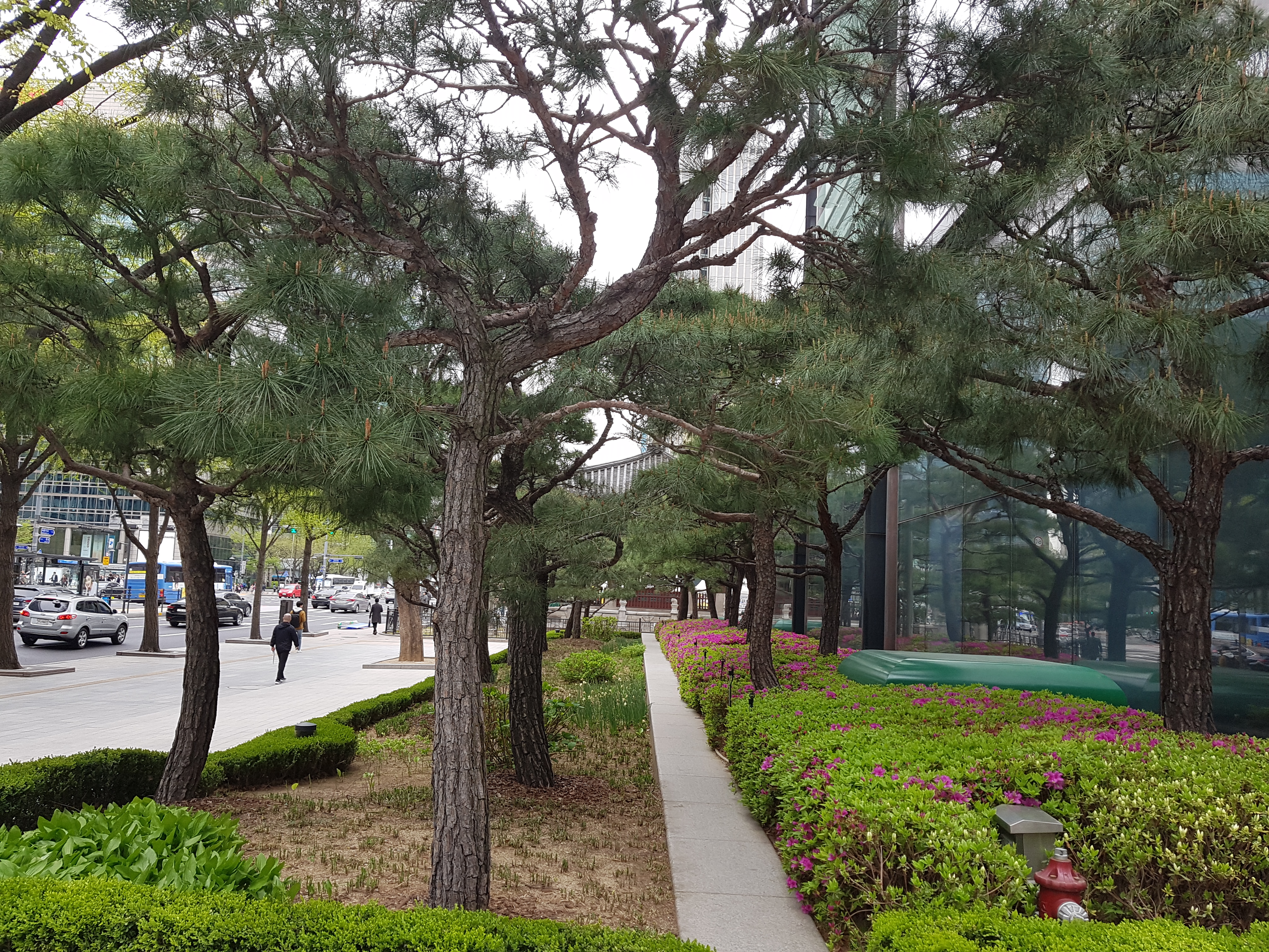 카카오토브 이미지