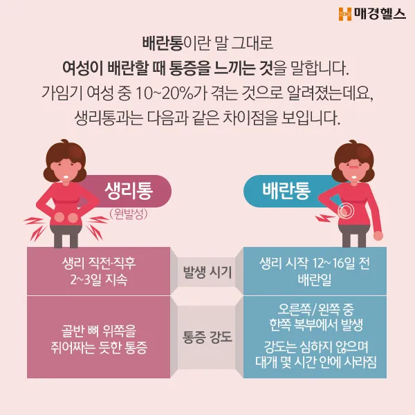 배란통 증상 및 시기 원인_4