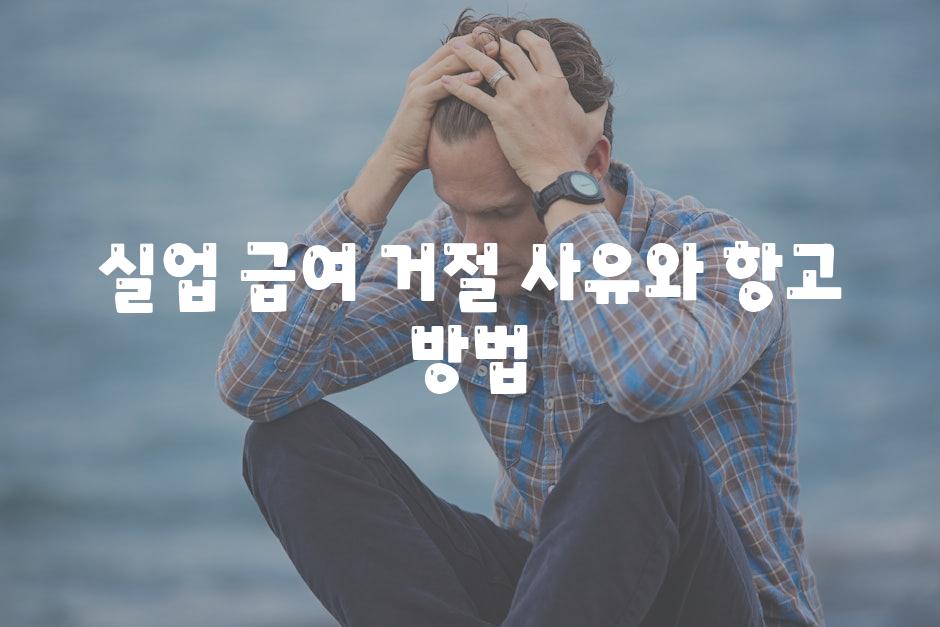 실업 급여 거절 사유와 항고 방법