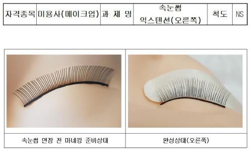 속눈썹