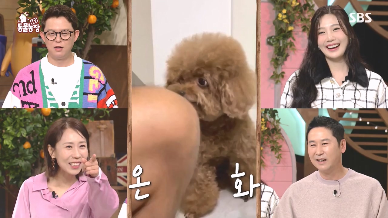 TV 동물농장.E1145.231113p-NEXT.mp4_20231112_173432.289.jpg