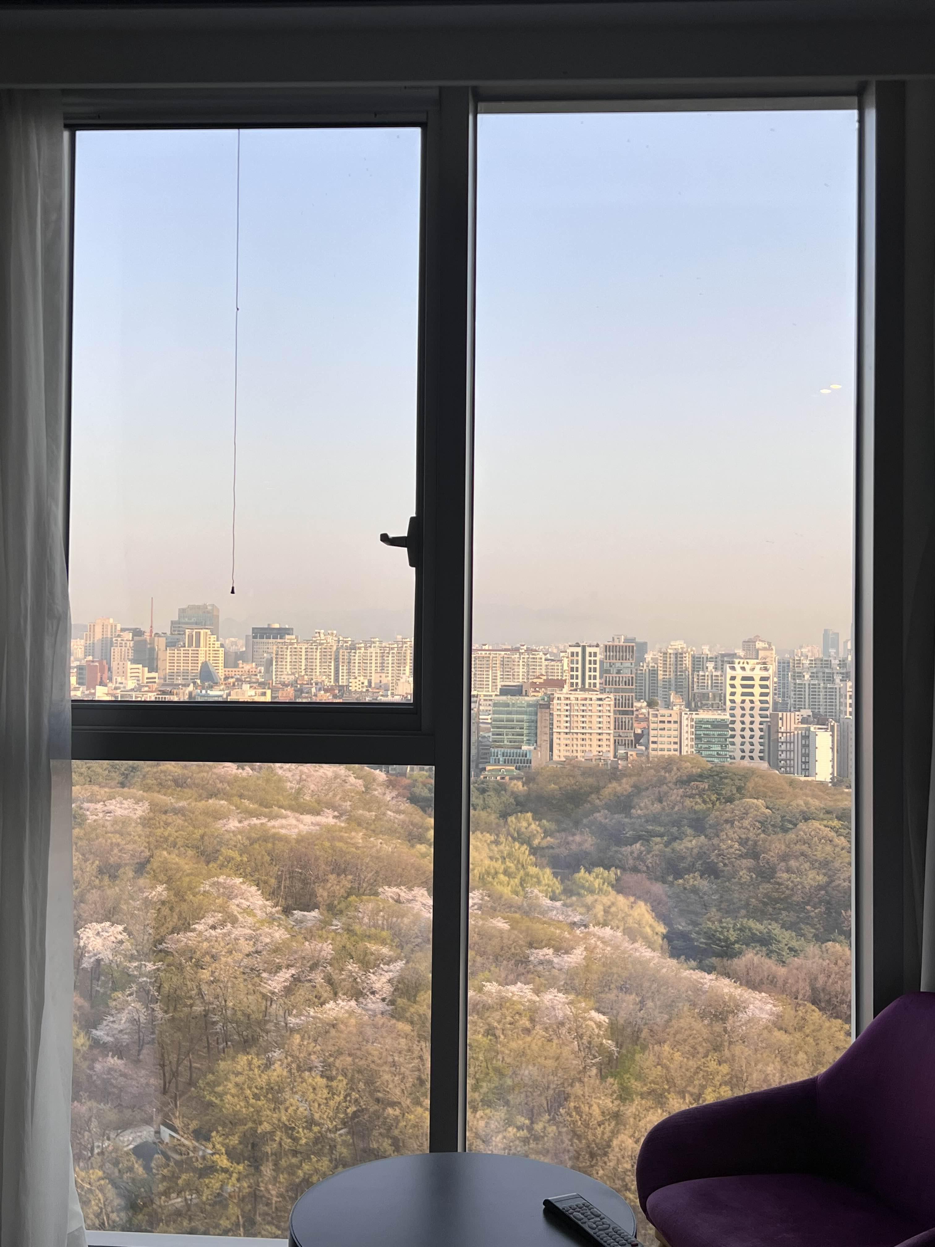 L7 강남 바이 롯데 숙소뷰 사진