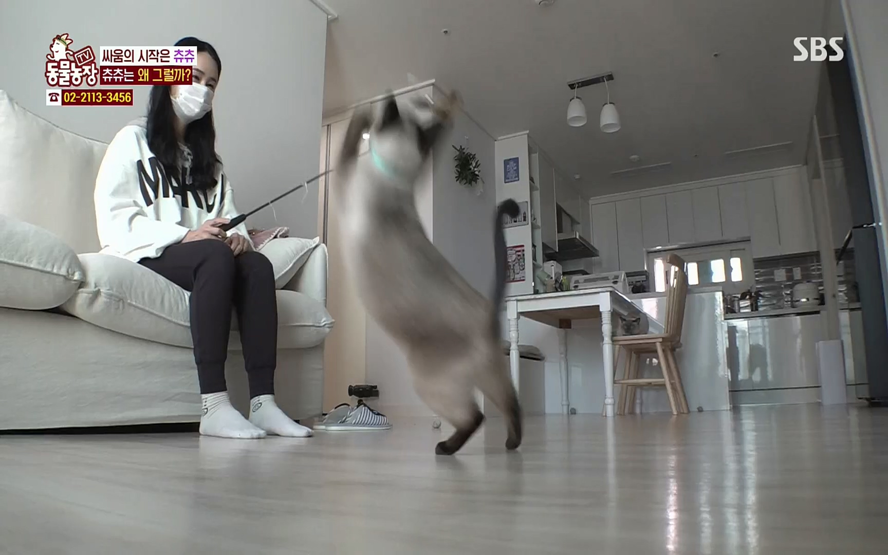 TV 동물농장.E1067.220501p.H264-F1RST.mp4_20220501_185007.730.jpg