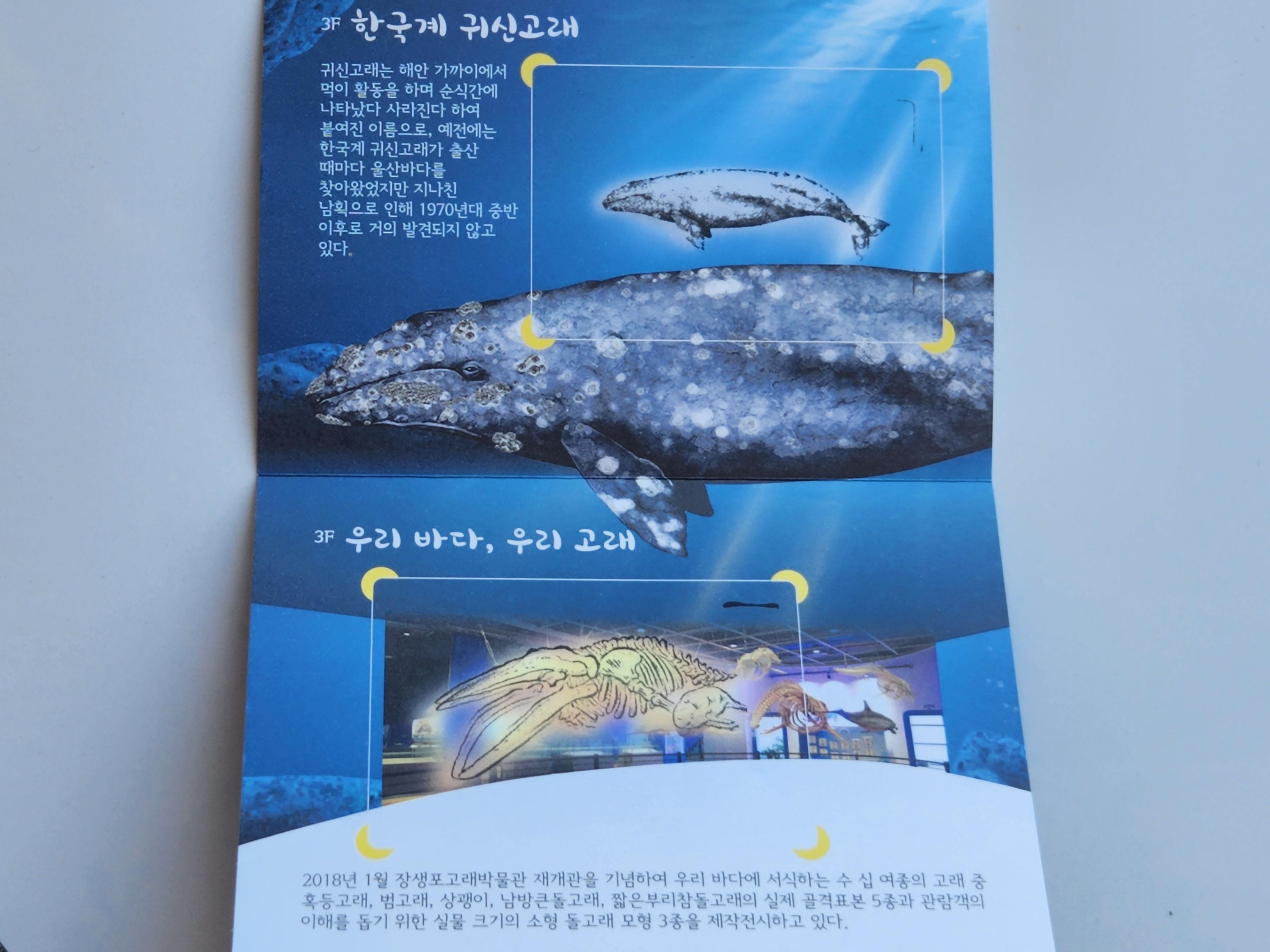 고래박물관 스탬프