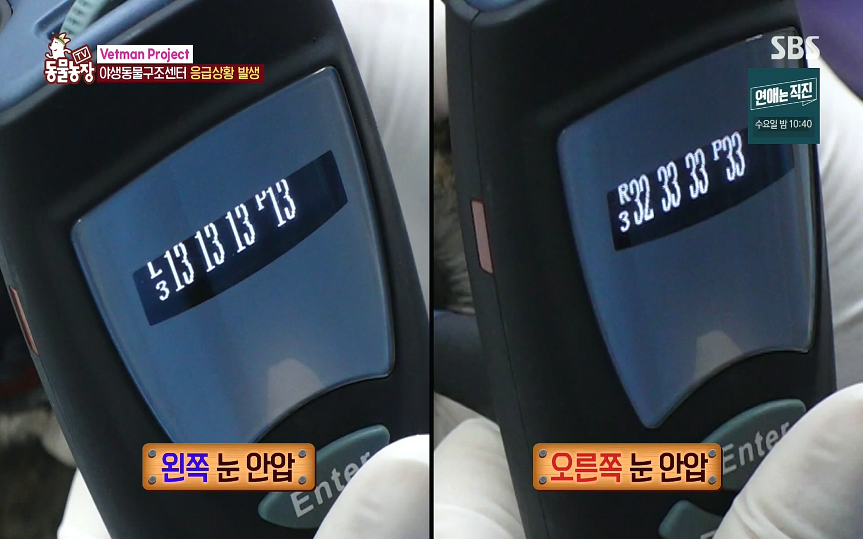 TV 동물농장.E1081.220807p.H264-F1RST.mp4_20220807_213627.367.jpg