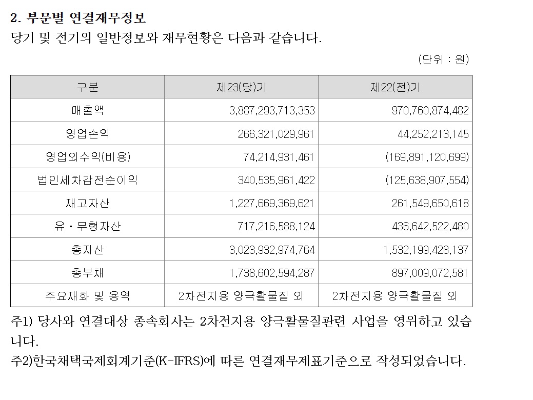 엘앤에프-공시-재무제표