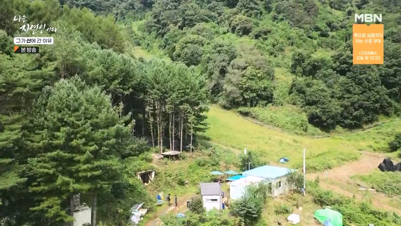 나는 자연인이다.E575.231012p-NEXT.mp4_20231012_200954.709.jpg