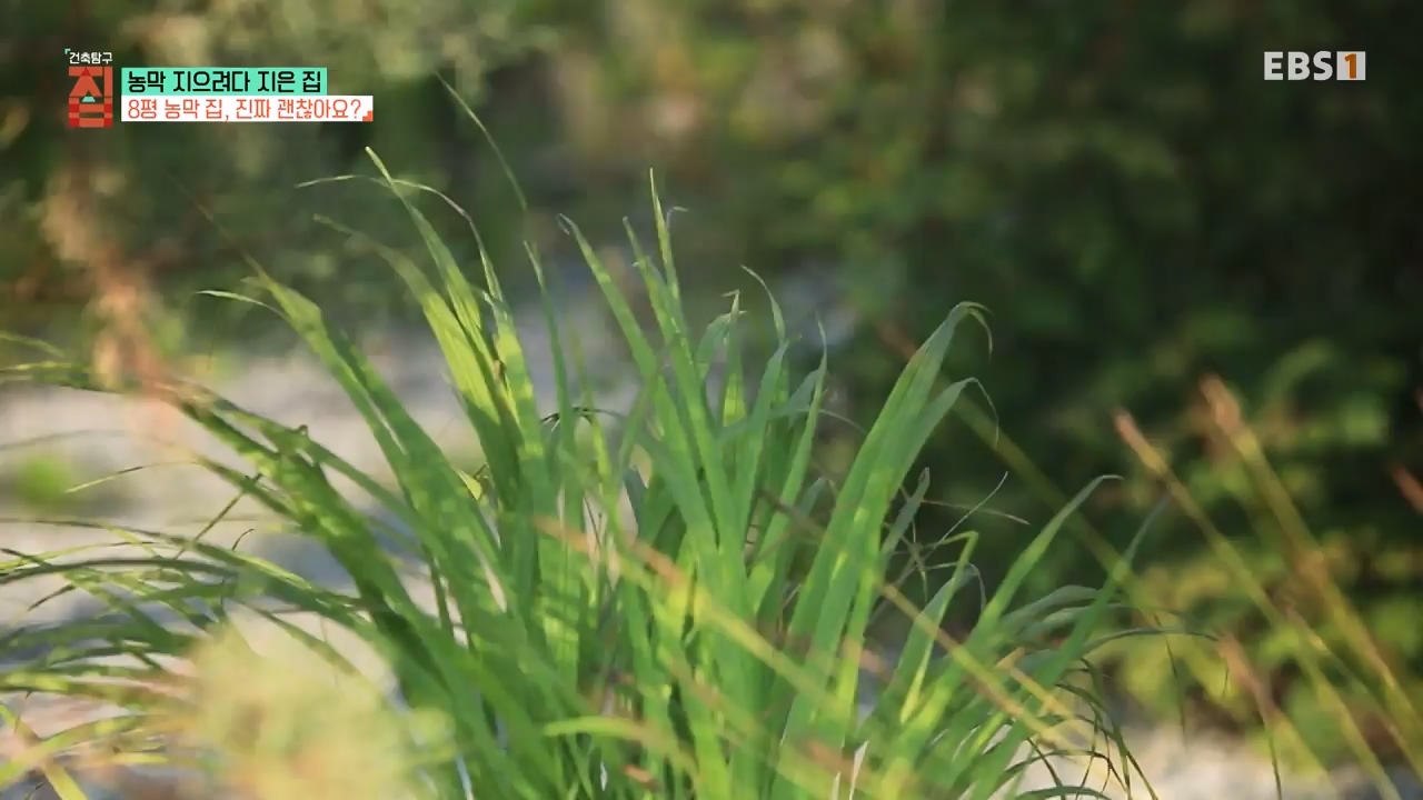TV - 전 국민의 평생학교 EBS농막 지으려다 지은 집.mp4_20230925_211501.655.jpg