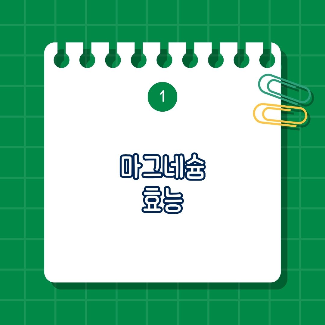 마그네슘(Magnesium) 효능