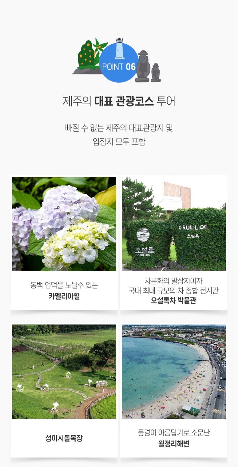 신유 여행사 이미지