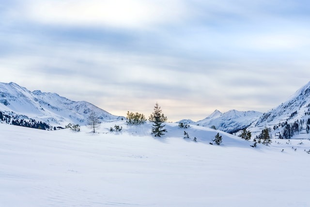 하얀 눈 쌓인 겨울 풍경