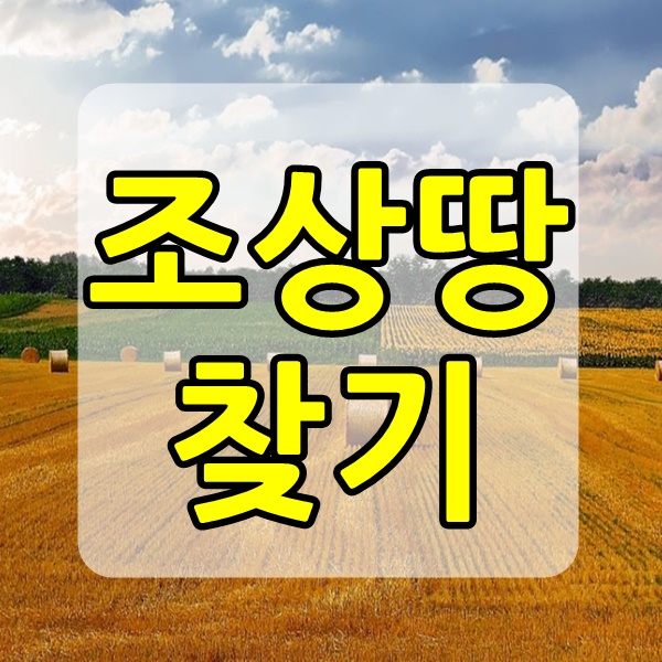  한국조상땅찾기서비스 대박 기회