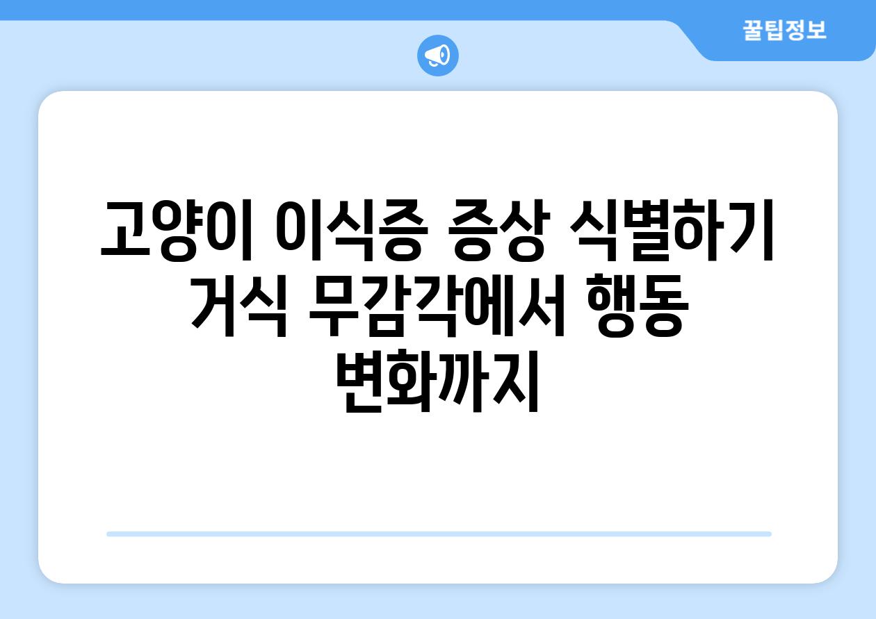 고양이 이식증 증상 식별하기 거식 무감각에서 행동 변화까지