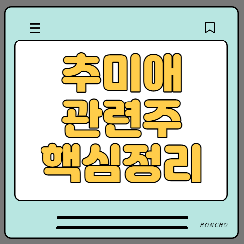  추미애 관련주 6종목 핵심정리