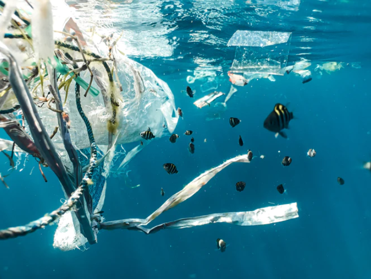 수중카메라가 찍은 해양 속 모습은 해양쓰레기와 그 사이를 헤엄치는 물고기들을 보여준다