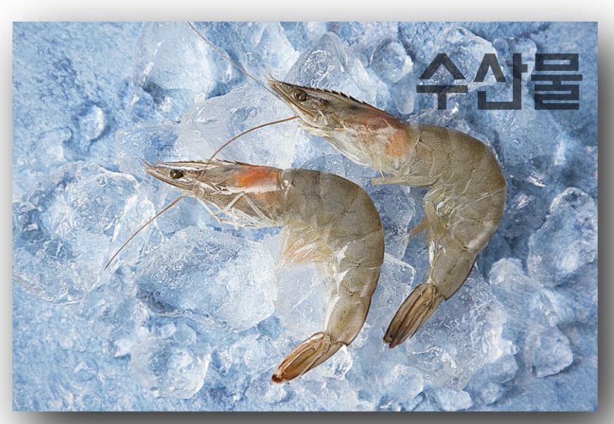 생새우 두마리