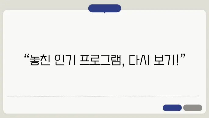 재방송 프로그램의 방식