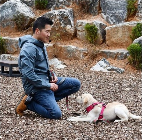  개는 훌륭하다의 강형욱의 논란들과 펫시터
