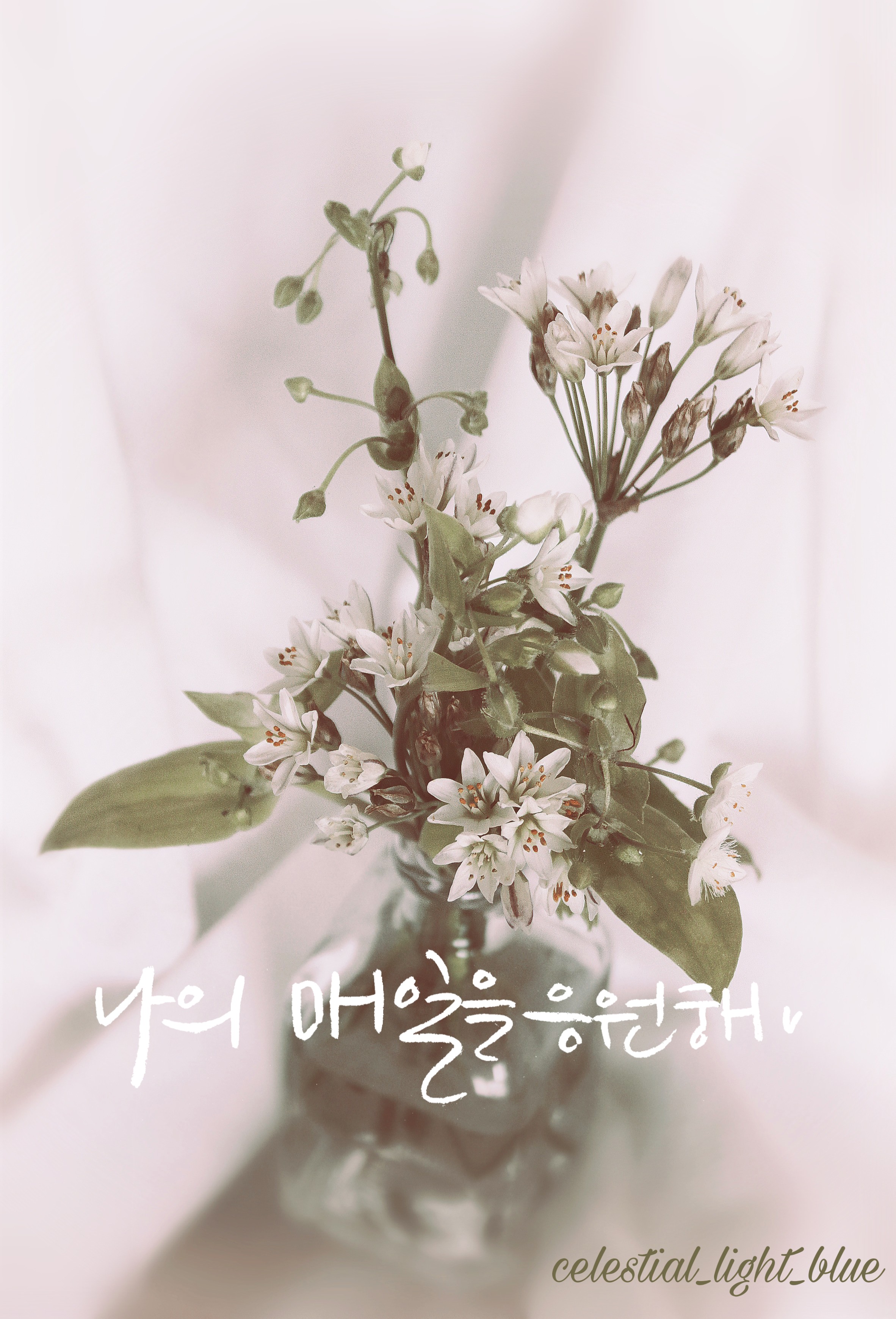  모든 이의 "나의 매일을 응원합니다!"  :-)