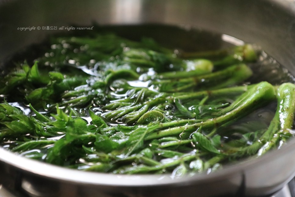 만들고 영양도 맛도 좋아요~ 오가피 요리!쇠고기 오가피꼬치 17