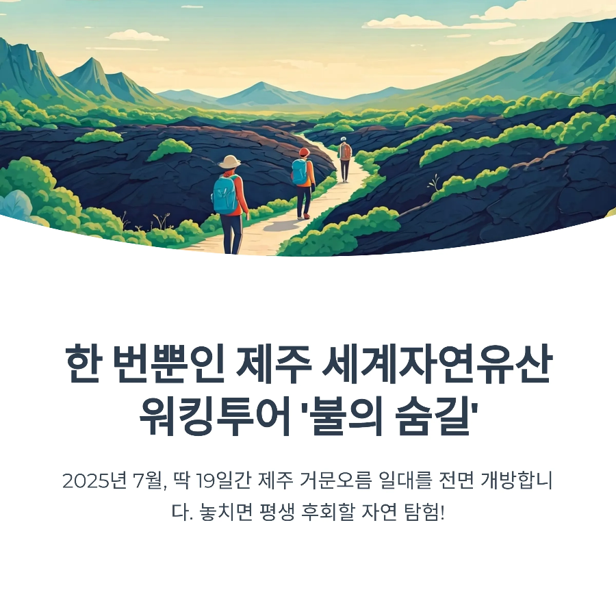 2025 제주 워킹투어 신청방법｜용암의 길·만장굴 코스 주차장 총정리
