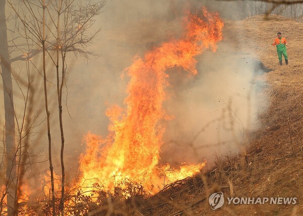 산청 지리산 산불 확산