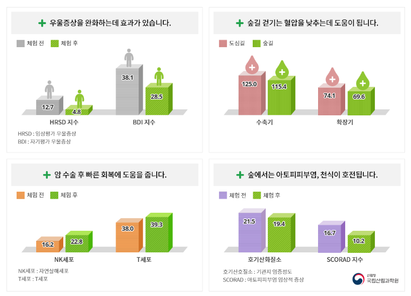 치유효과