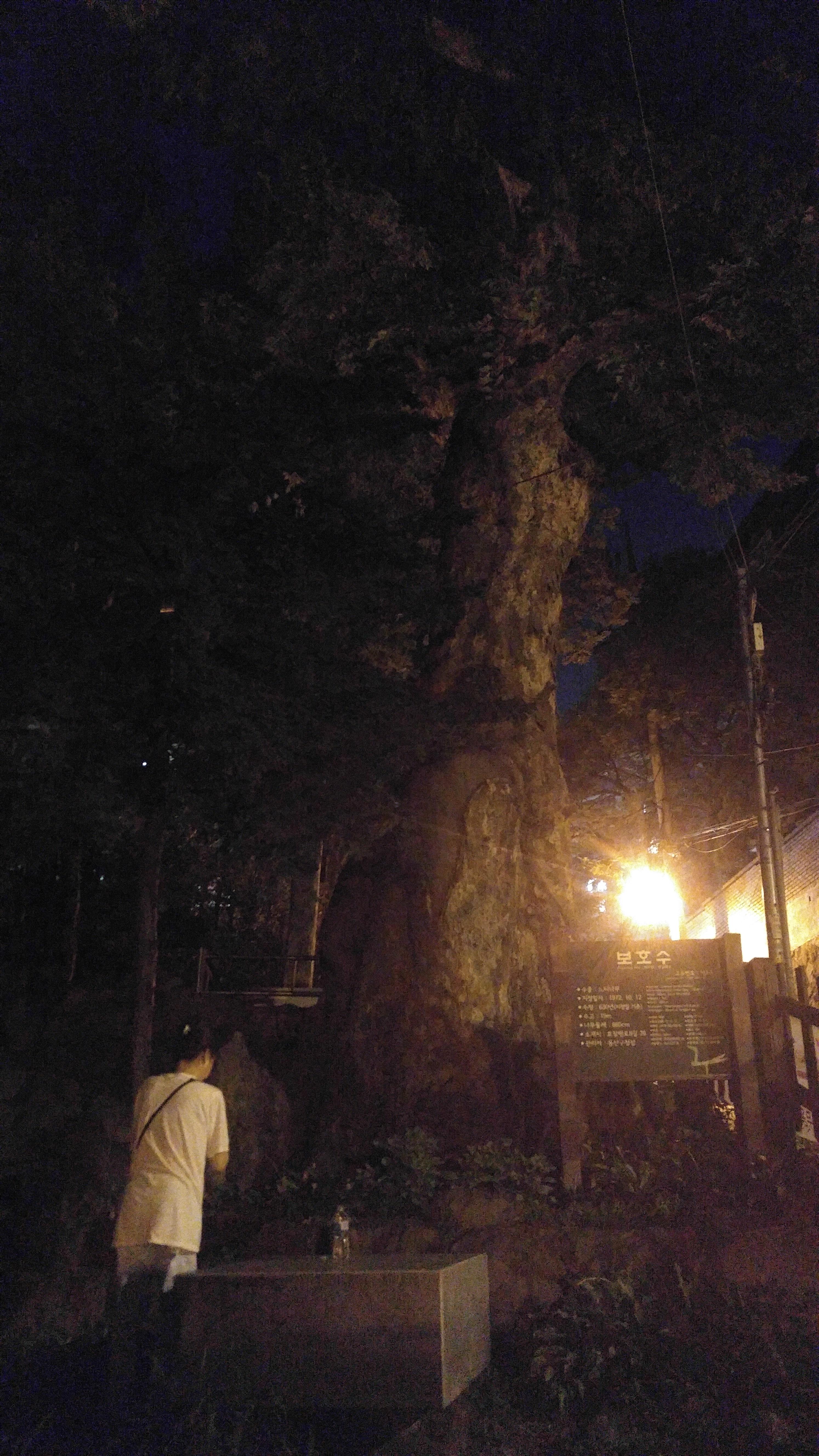 심원 이미지