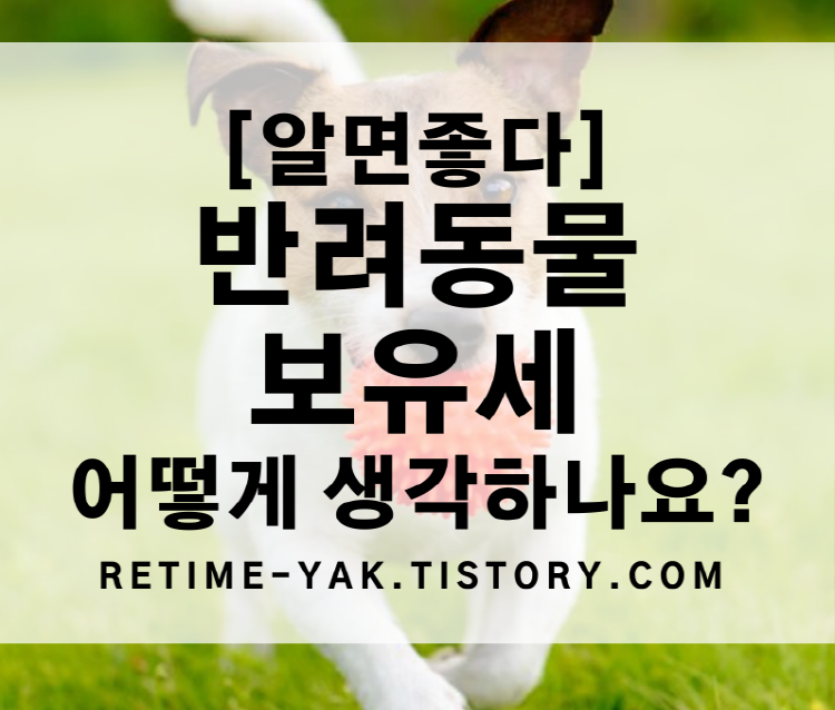  [알면좋다]반려동물 보유세 어떻게 생각하나요?/정리/찬성과 반대