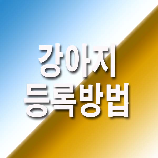  강아지 등록방법 과정 총정리