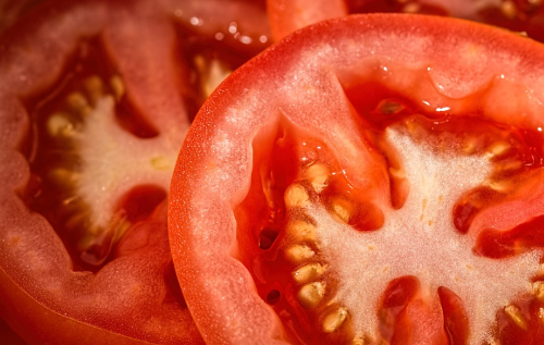 토마토-절단면-속살-모습