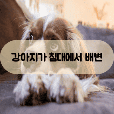 강아지 배변