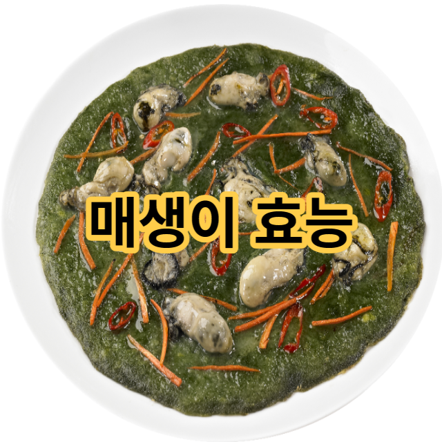  겨울 제철 음식 매생이 효능과 부작용 알려드려요
