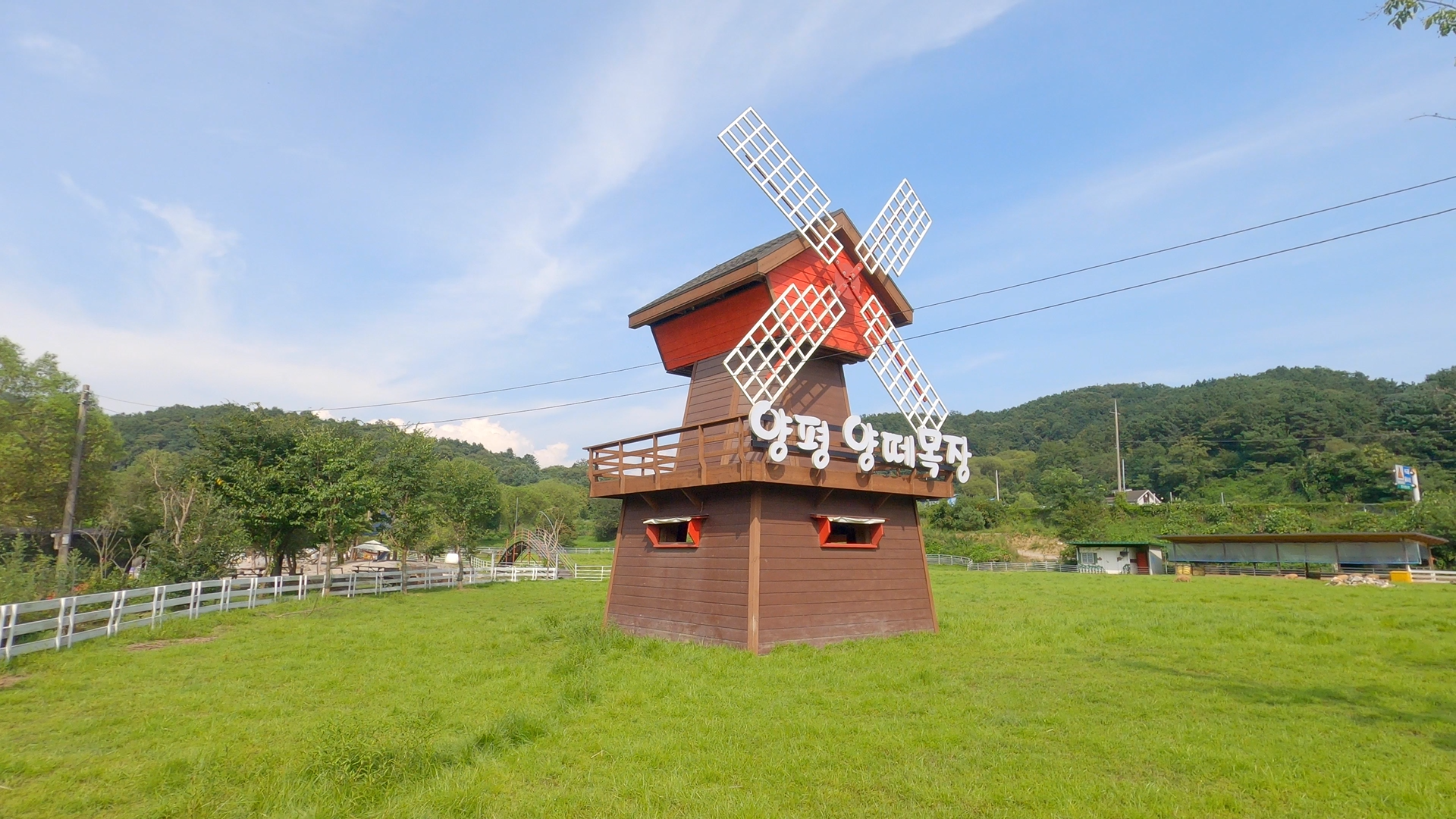 잔디밭에 풍차가 있는 양평 양떼목장의 모습이다.