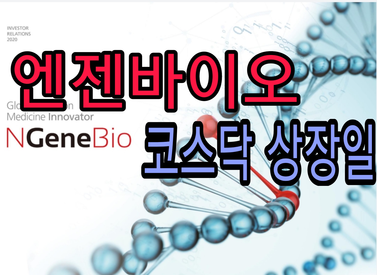  엔젠바이오 공모가 코스닥 신규 상장일