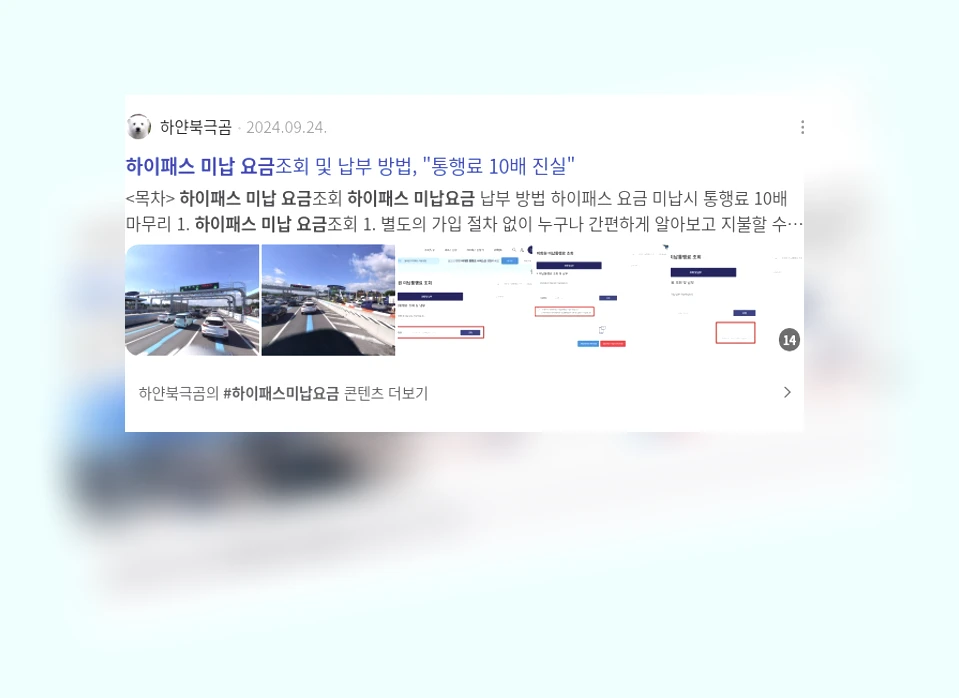 하이패스 미납요금_2_subsection