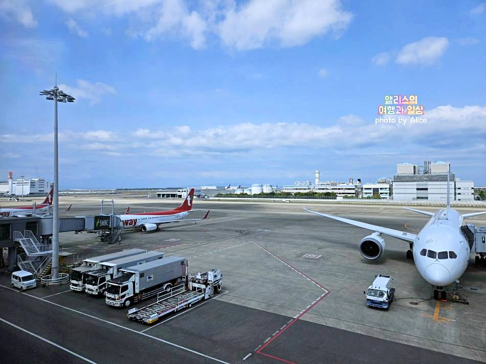 202304 부산 김해 (PUS) - 오사카 간사이 (KIX) 티웨이 항공 + 위탁수하물 가격
