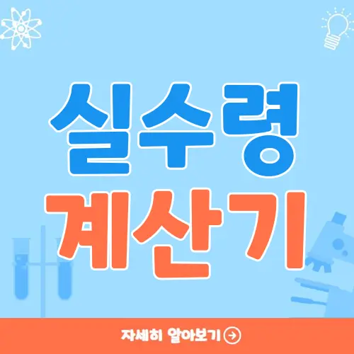 실수령 계산기
