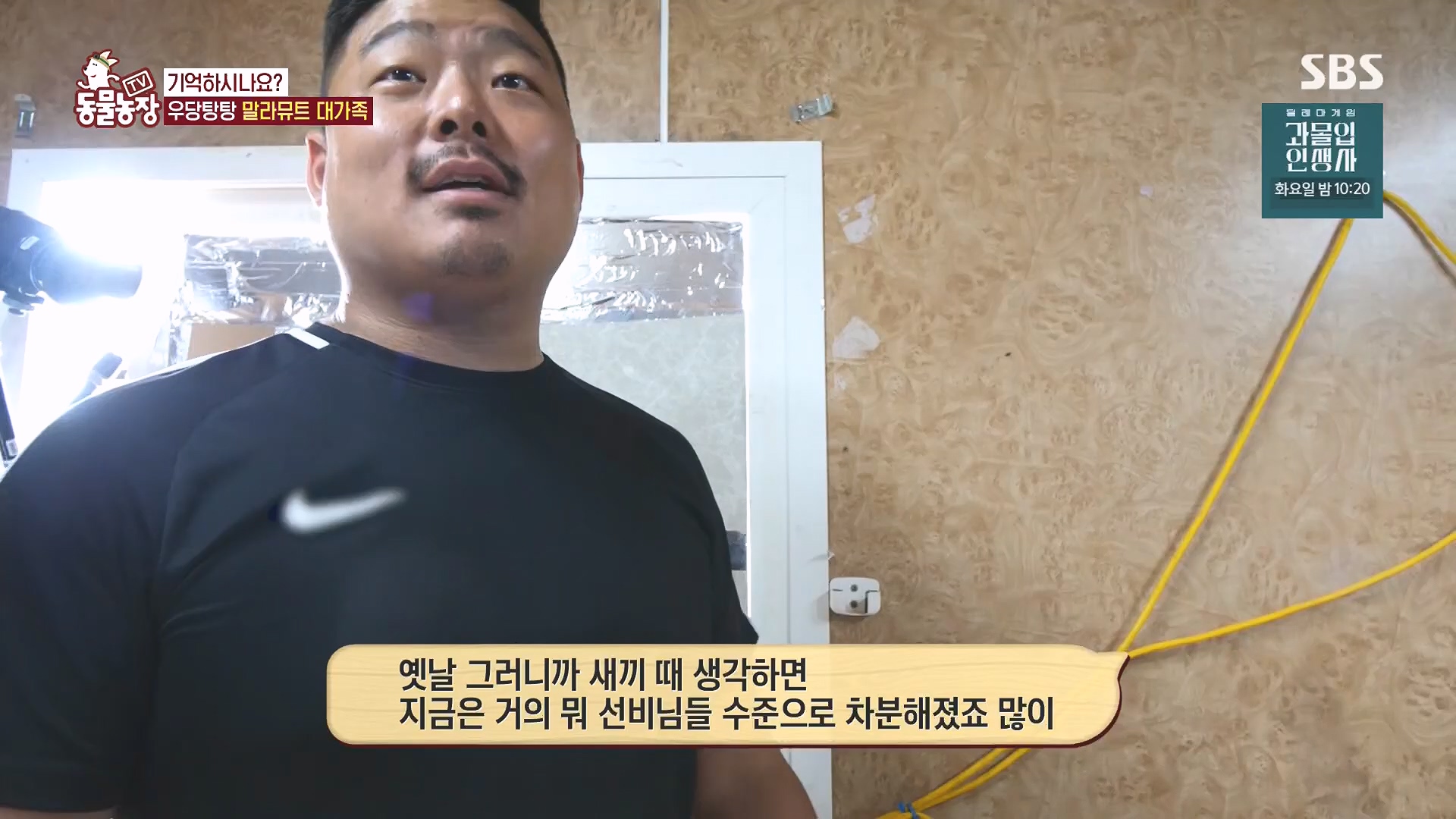 TV 동물농장.E1136.230903p.H264-F1RST.mp4_20230903_180335.122.jpg