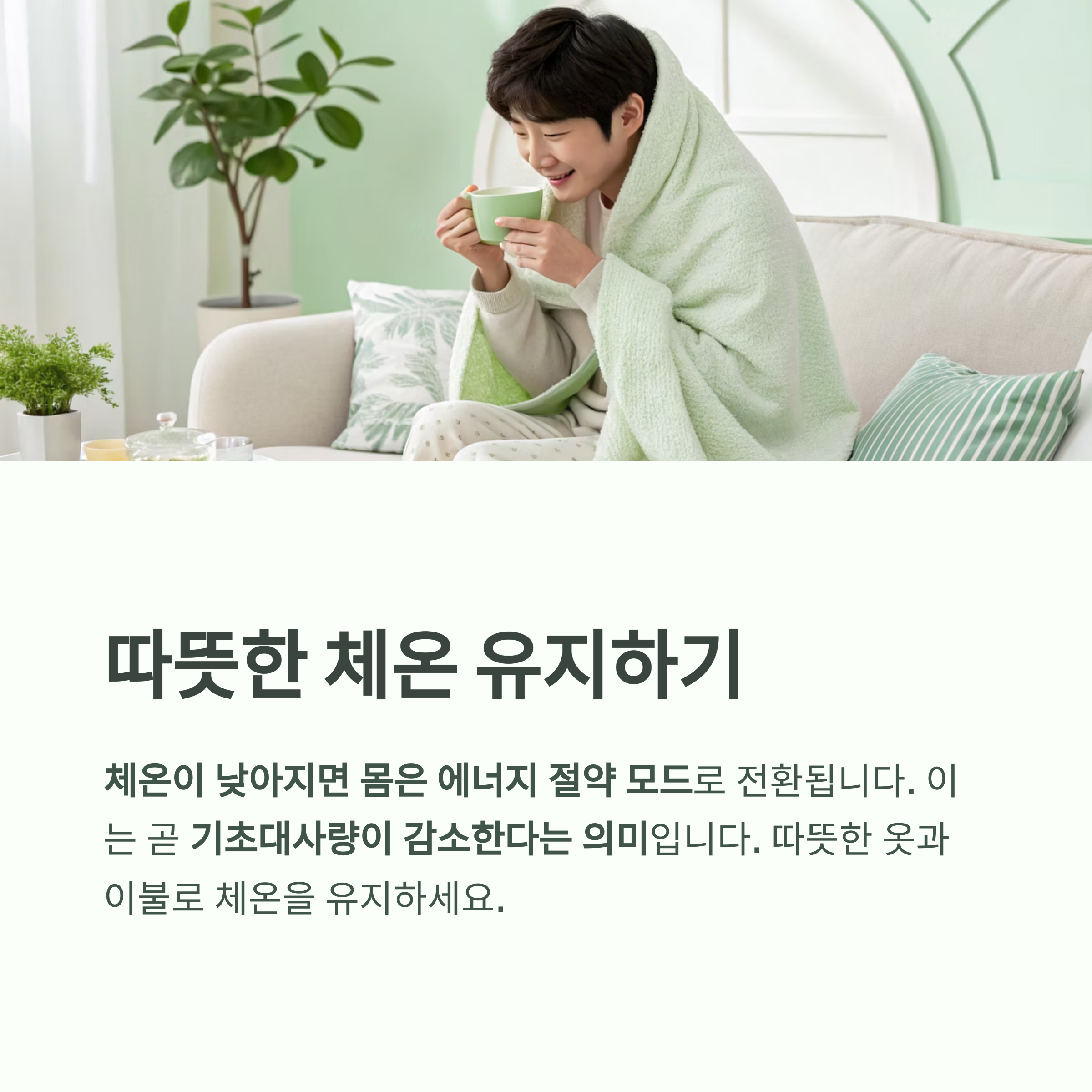 하루 200칼로리 더 태우는 비밀, 기초대사량 높이는 일상 습관 - 무리한 운동 없이도 가능한가요? 기초대사량은 일상 습관이 좌우합니다 - 모든 영역 하루 200칼로리 더 태우는 비밀, 기초대사량 높이는 일상 습관 - 무리한 운동 없이도 가능한가요? 기초대사량은 일상 습관이 좌우합니다 - 모든 영역
