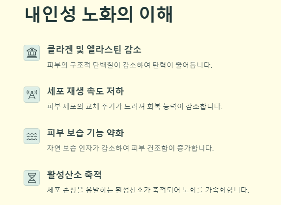 피부 노화 원인 및 예방법(방지비법)