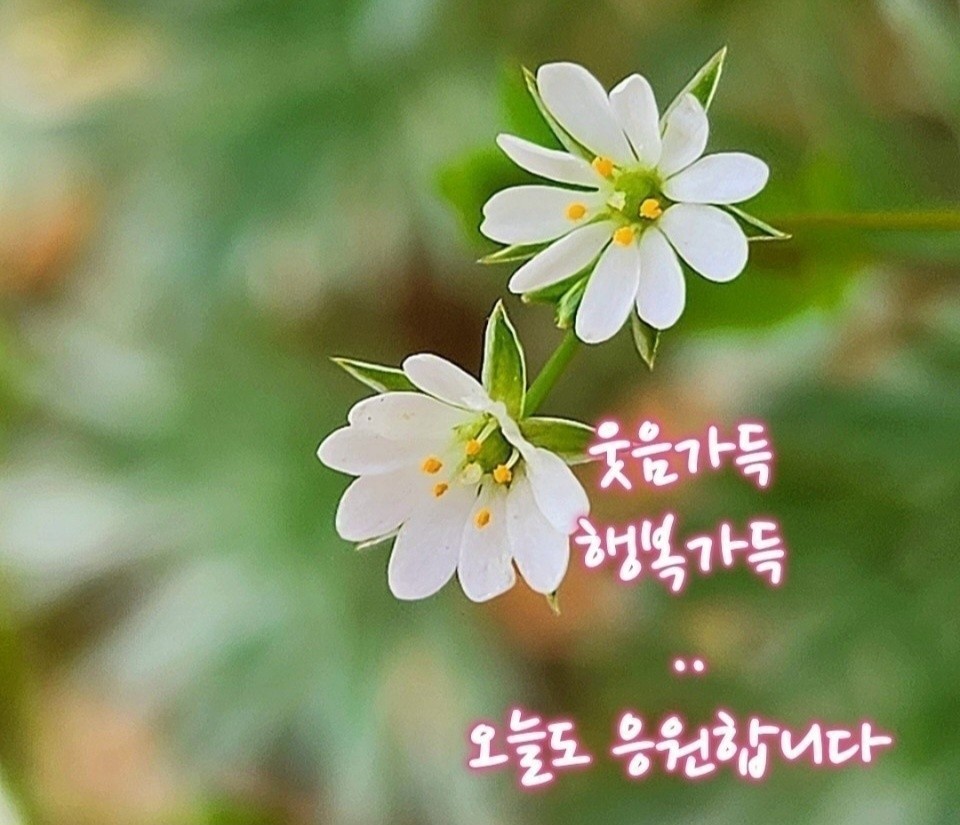  매일 용서하라 한번더의 힘 중