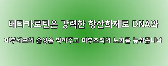  베타카로틴은 강력한 항산화제로 DNA와 피부세포의 손상을 막아주고 피부조직의 노화를 늦춰줍니다